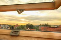 rated Halamanning roof window companies